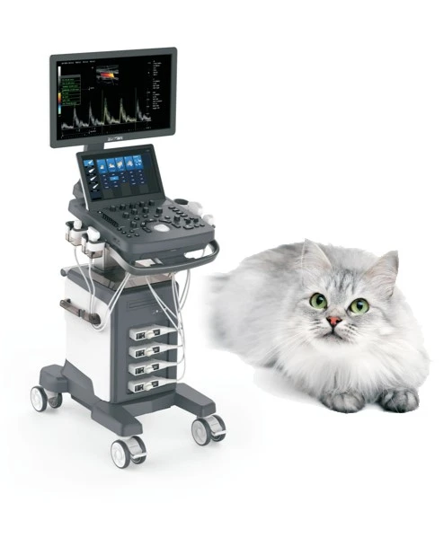 Veterinärmedizinisches Farbdoppler-Ultraschallsystem